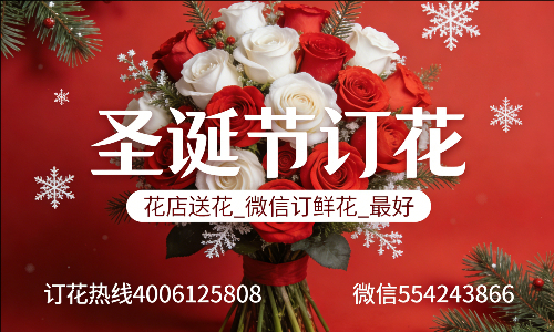 ���ݳ���������